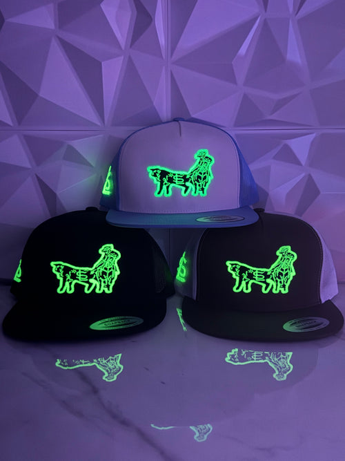 Coleadero Trucker SnapBack Hat