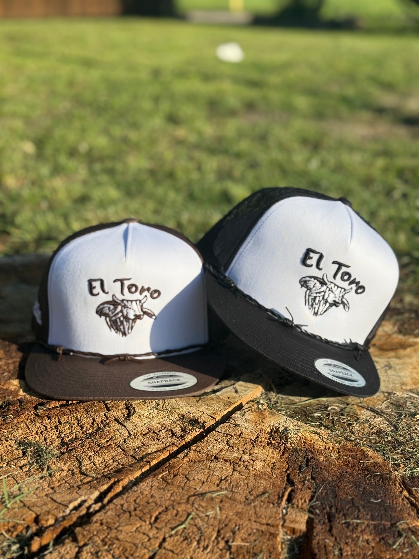 EL Toro